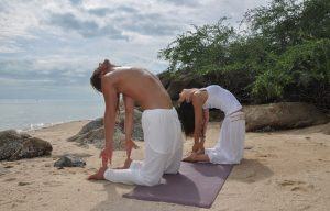Bài Tập Yoga Giải Độc Cơ Thể