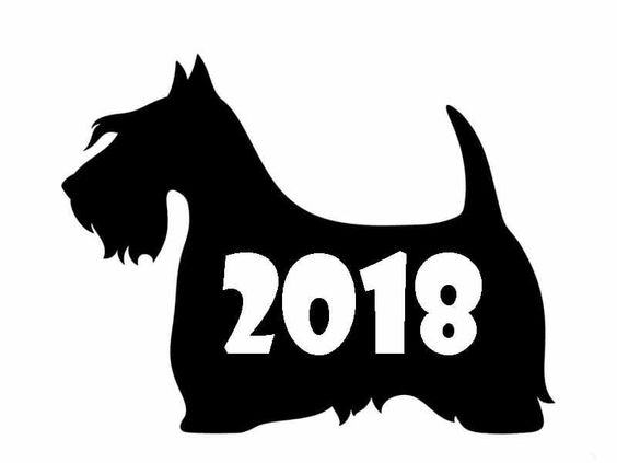 sinh con nam 2018