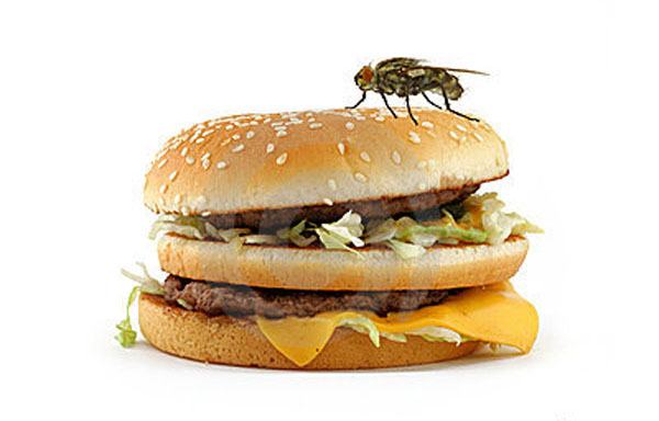 Cách đuổi ruồi nhặng ra khỏi nhà theo phương pháp dân gian
