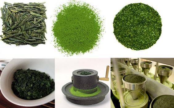 Cách làm bột trà xanh tại nhà từ lá trà xanh