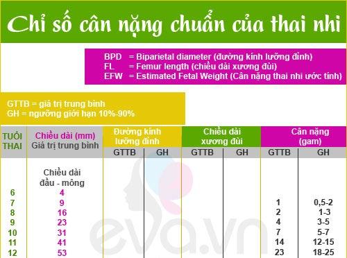 chieu dai xuong dui 1