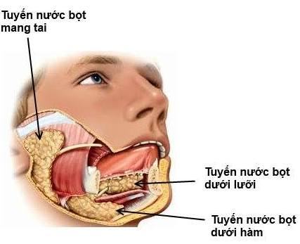 tiet nuoc bot nhieu