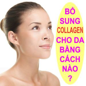 collagen-dang-nao-tot-nhat