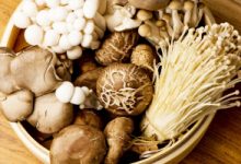 Top 5 Món ăn ngon từ nấm và cách làm đơn giản tại nhà